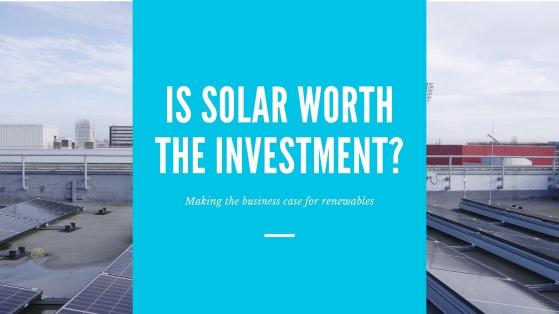 Bee Net Zero Is Solar Worth the Investment? Making the business case