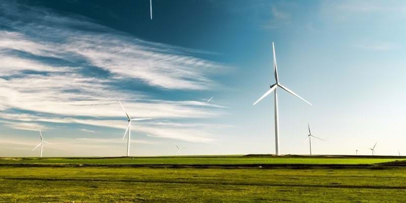 Bee Net Zero Sustainable Future