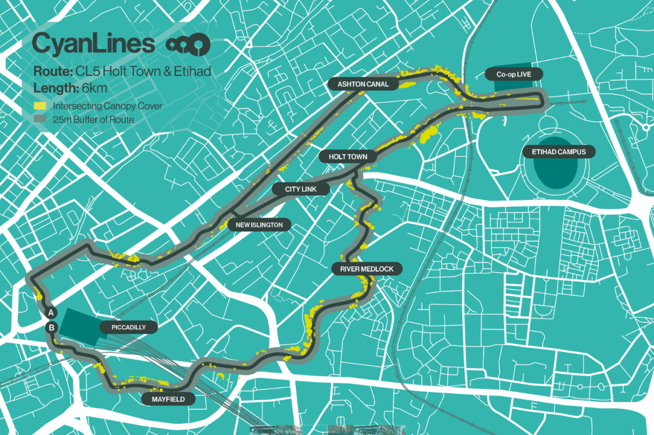 CyanLines celebrates one year with announcements on Phase Two